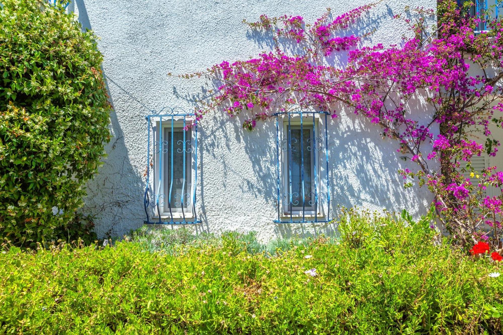 Xenios Faros Apartments ポッシディ エクステリア 写真